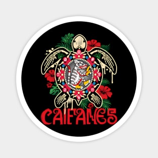 Caifanes Band Magnet